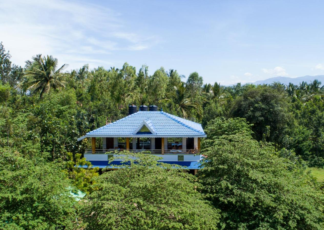 The Midway Jungle Resort Masinagudi Extérieur photo