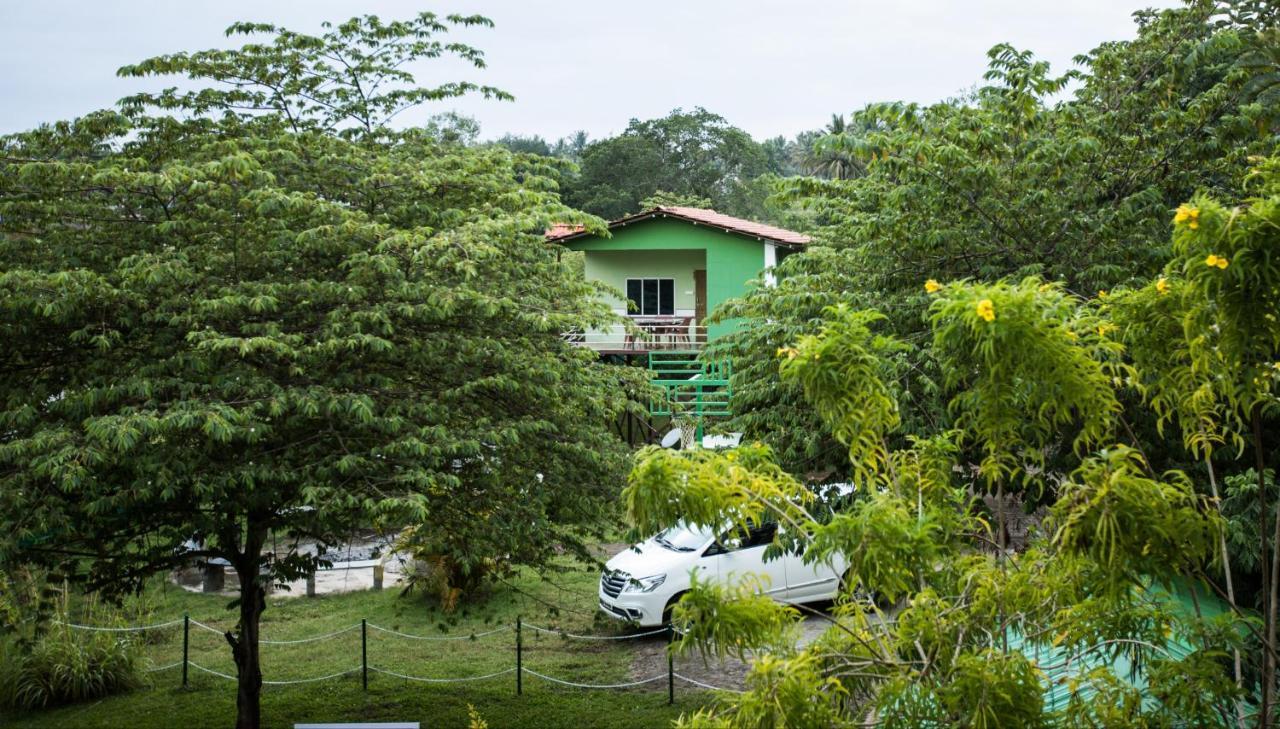 The Midway Jungle Resort Masinagudi Extérieur photo