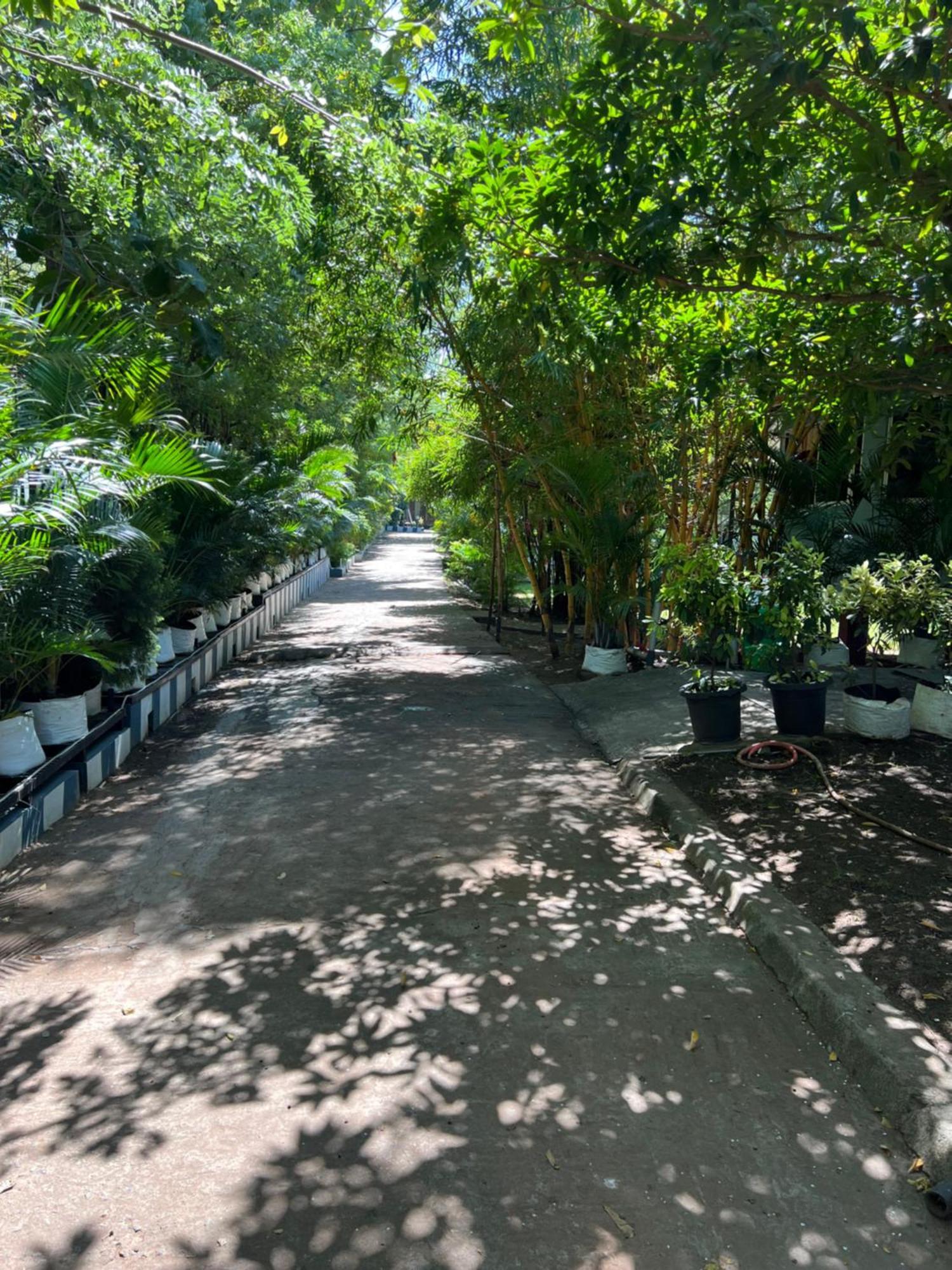 The Midway Jungle Resort Masinagudi Extérieur photo